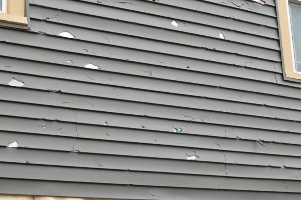 Best Siding Removal and Disposal  in Fort Carson, CO